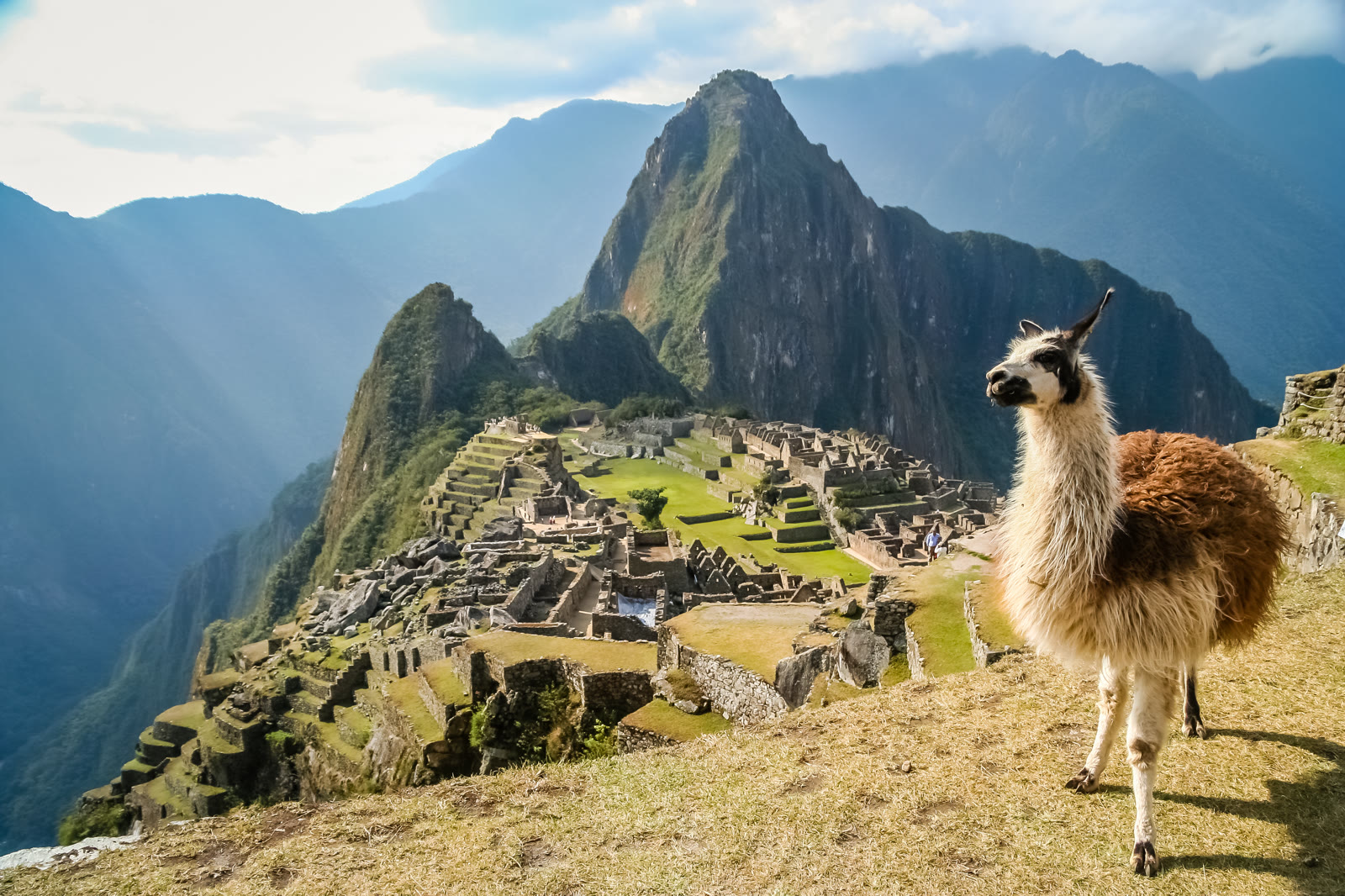Machu Picchu with a llama in the foreground, Peru